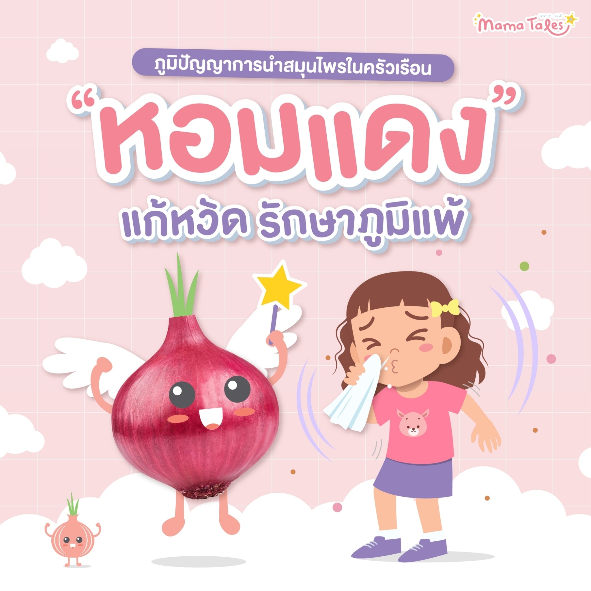 หอมแดง สมุนไพรเพื่อการรักษาภูมิแพ้ และไข้หวัดจากภูมิปัญญาไทย